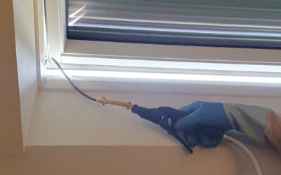 Nid de guêpes contre le Velux d’un gîte à Pluneret
